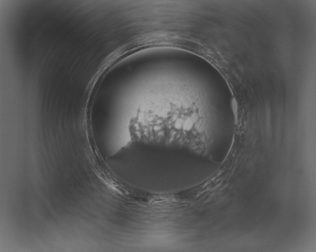 X0000072970099200607211234