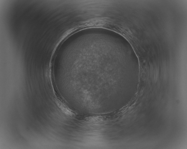 X0000072970100200607211234