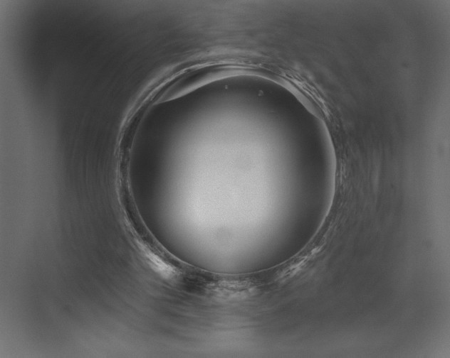 X0000072970101200607211234