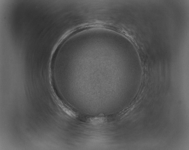 X0000072970102200607211234