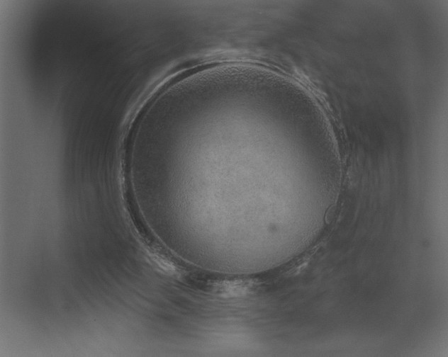 X0000072970103200607211234