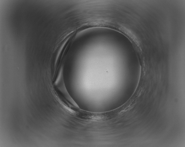 X0000072970105200607211233