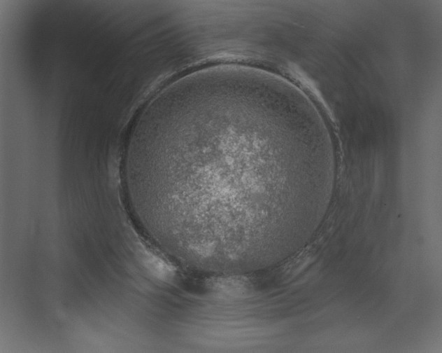 X0000072970106200607211233