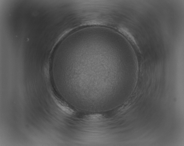 X0000072970108200607211233