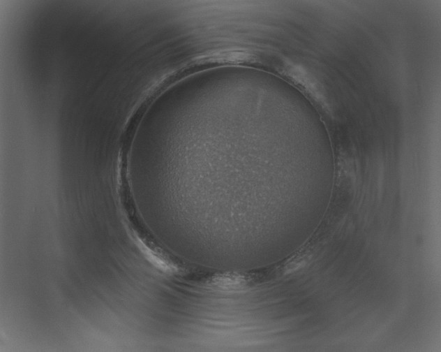 X0000072970110200607211233