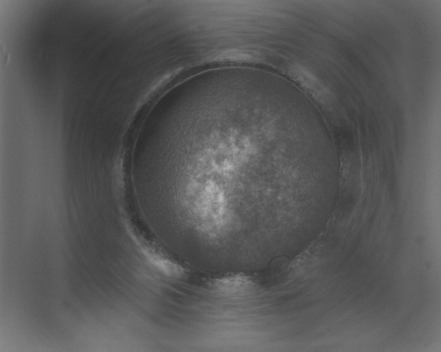 X0000072970112200607211233