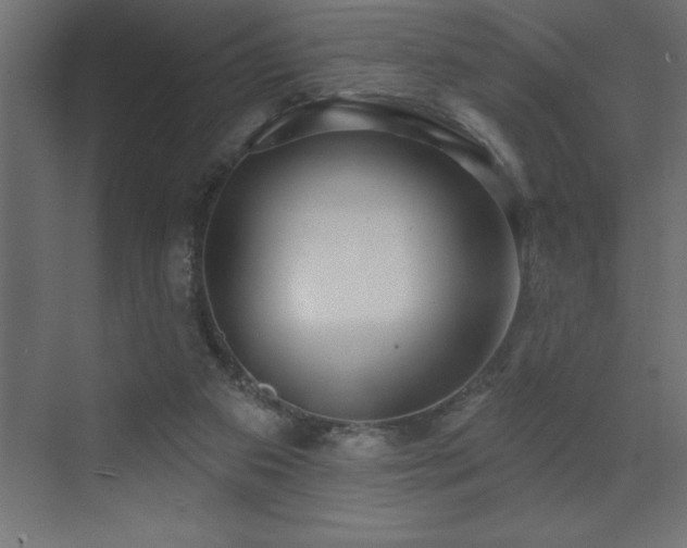 X0000072970113200607211233