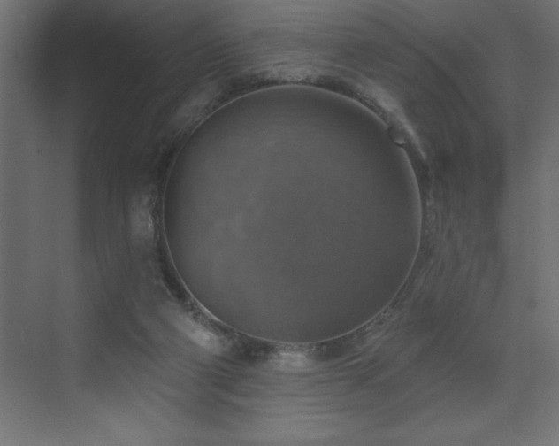 X0000072970114200607211233