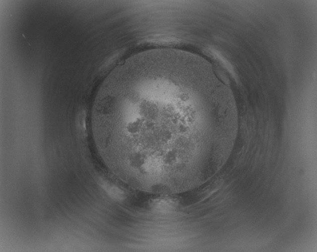 X0000072970115200607211233