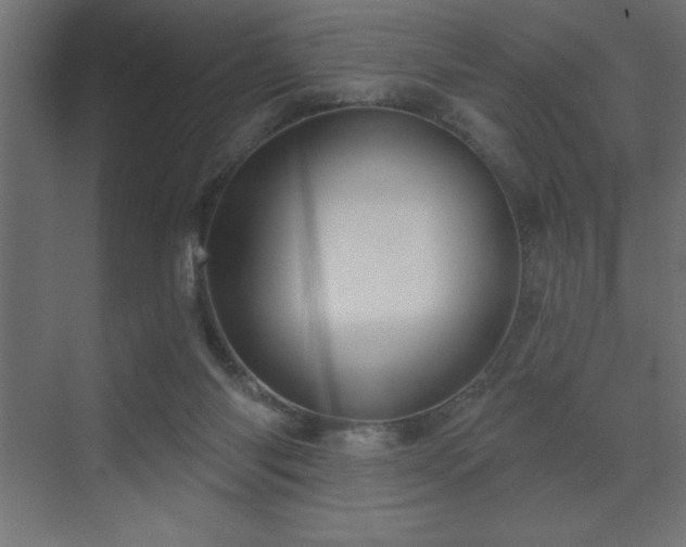 X0000072970118200607211233