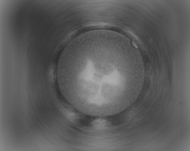 X0000072970119200607211233