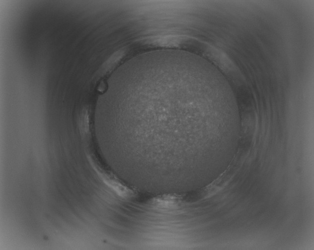 X0000072970120200607211233