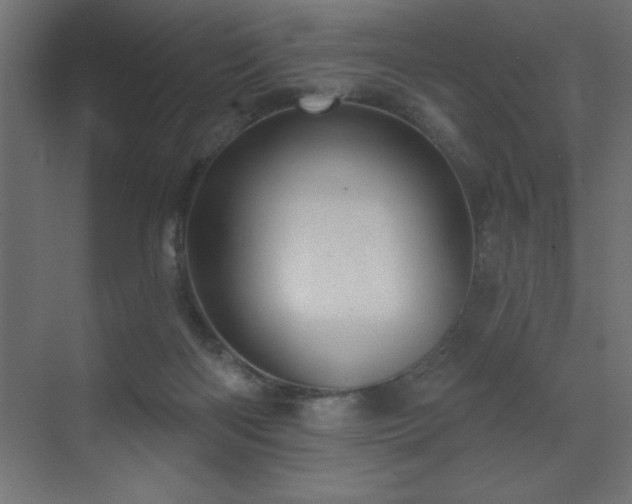 X0000072970122200607211233