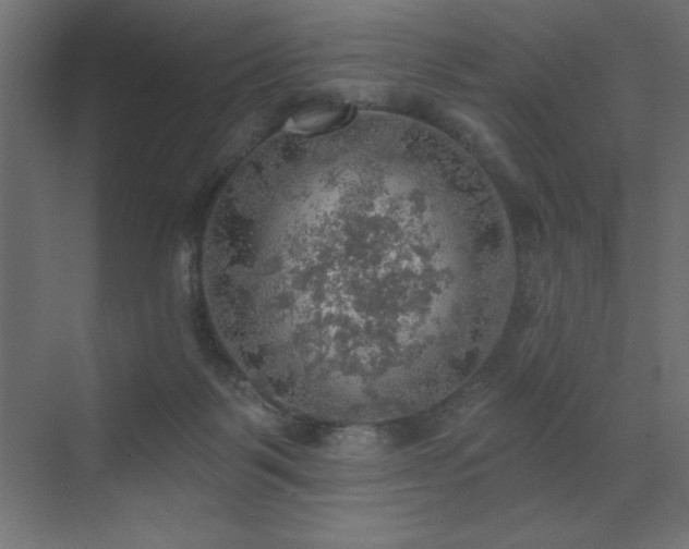 X0000072970123200607211233