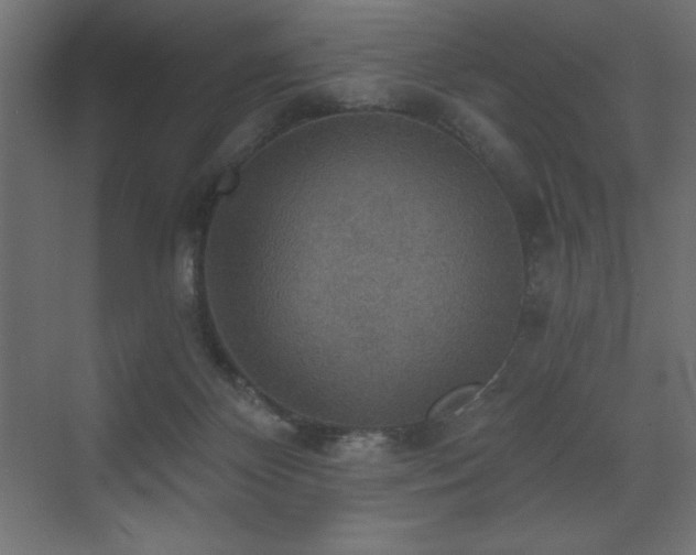 X0000072970124200607211233