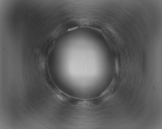 X0000072970125200607211233