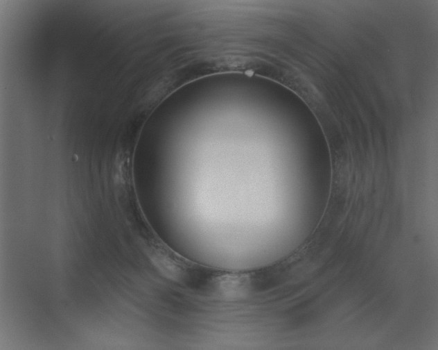 X0000072970126200607211233