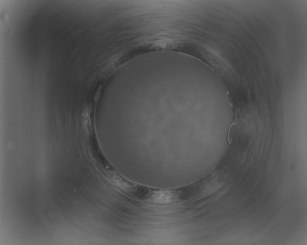 X0000072970127200607211233