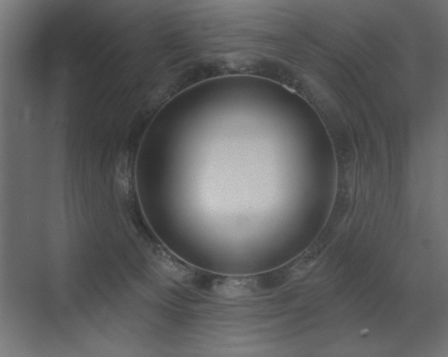 X0000072970129200607211233