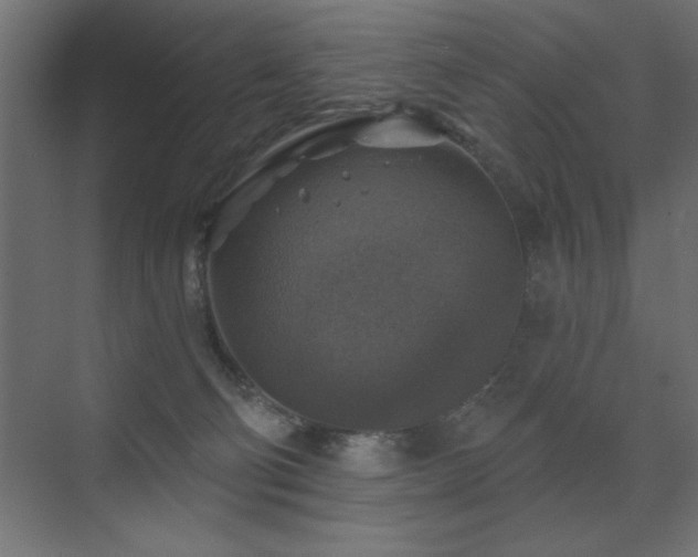 X0000072970130200607211233