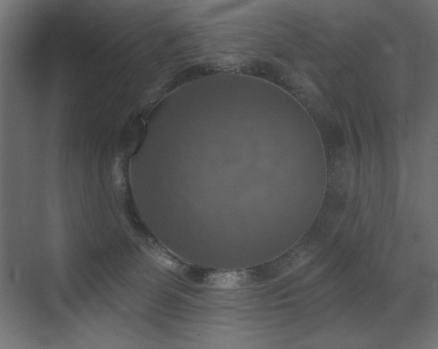 X0000072970131200607211233