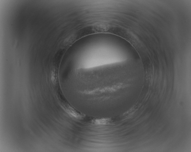 X0000072970134200607211233