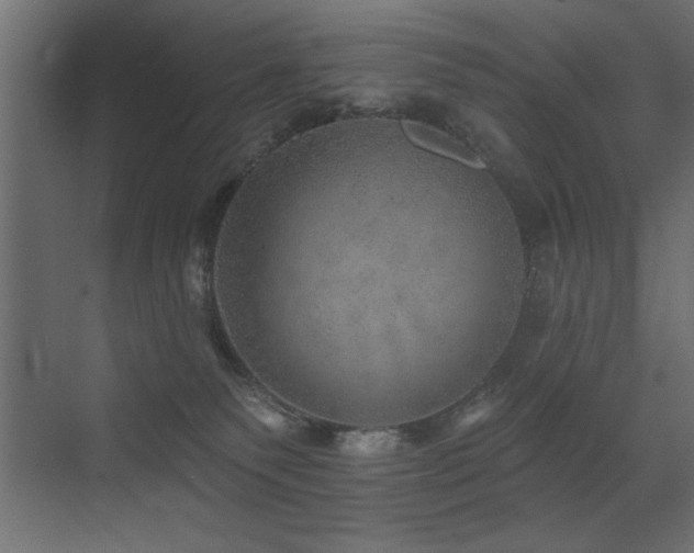 X0000072970135200607211233