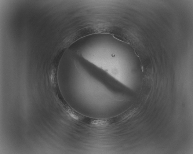 X0000072970139200607211233