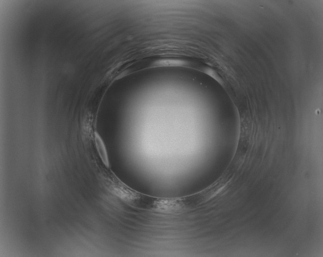 X0000072970141200607211233