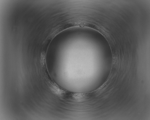 X0000072970142200607211233