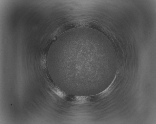 X0000072970144200607211233