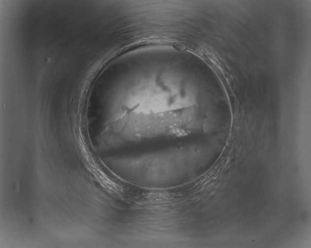 X0000072970145200607211232