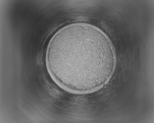 X0000072970146200607211232