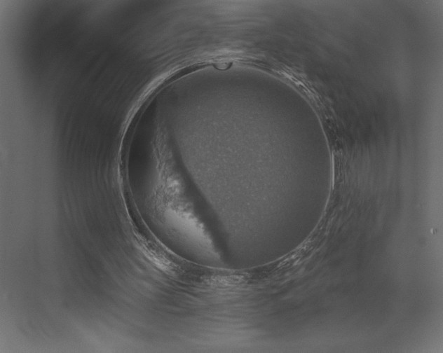 X0000072970147200607211232