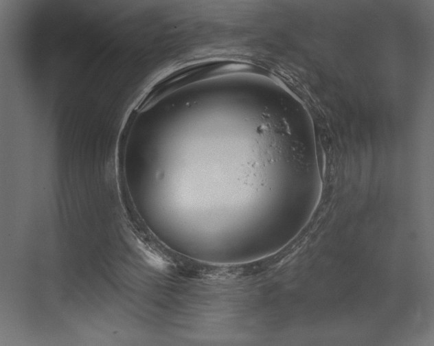 X0000072970148200607211232