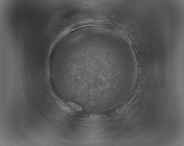 X0000072970149200607211232