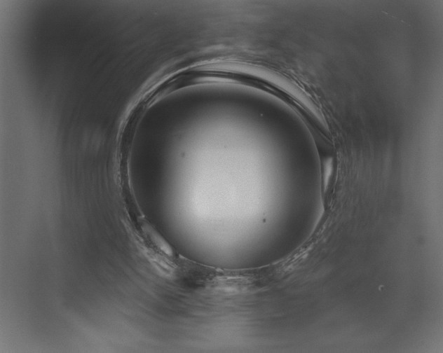 X0000072970150200607211232