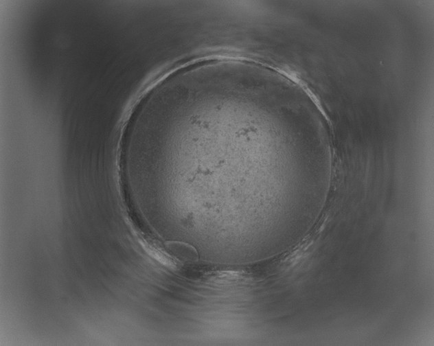 X0000072970151200607211232