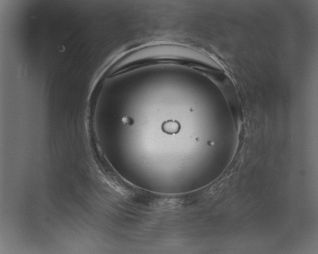 X0000072970152200607211232