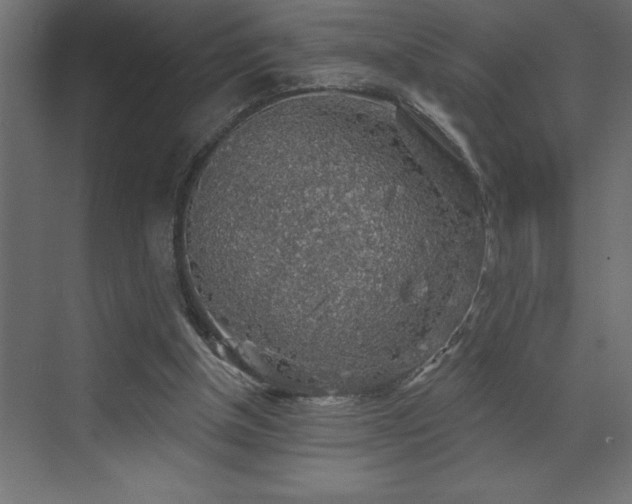 X0000072970154200607211232