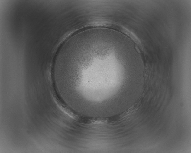 X0000072970155200607211232