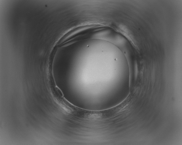 X0000072970156200607211232