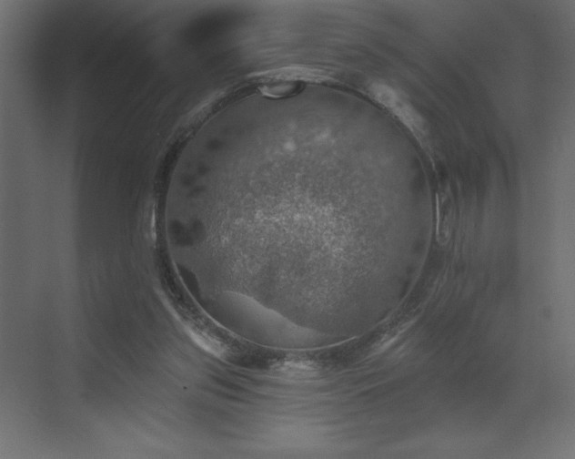 X0000072970157200607211232