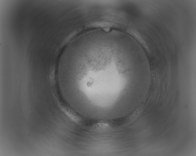 X0000072970159200607211232