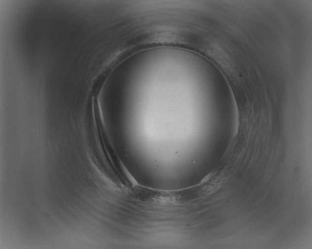 X0000072970160200607211232