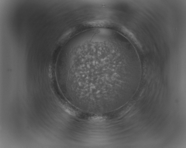 X0000072970161200607211232