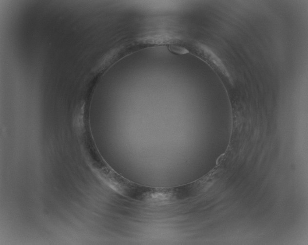 X0000072970163200607211232