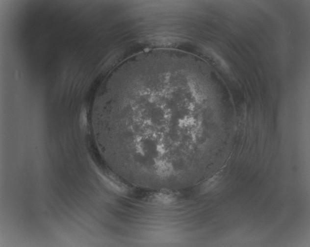 X0000072970166200607211232