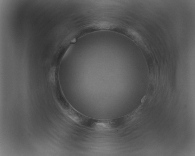 X0000072970167200607211232