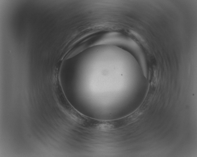 X0000072970168200607211232